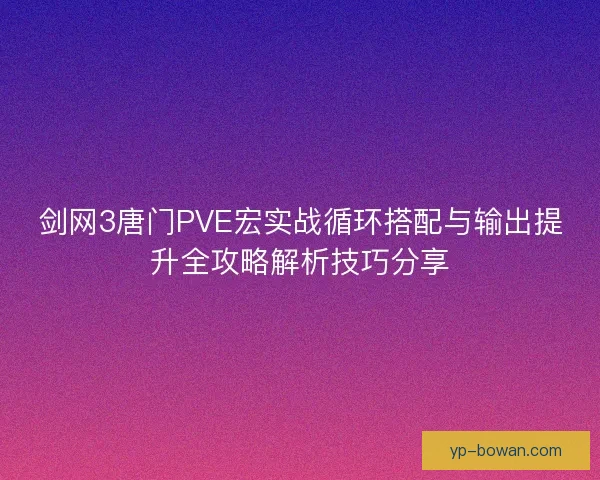 剑网3唐门PVE宏实战循环搭配与输出提升全攻略解析技巧分享